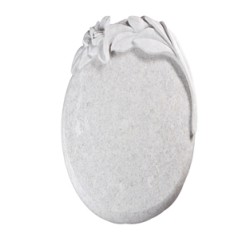 EC258